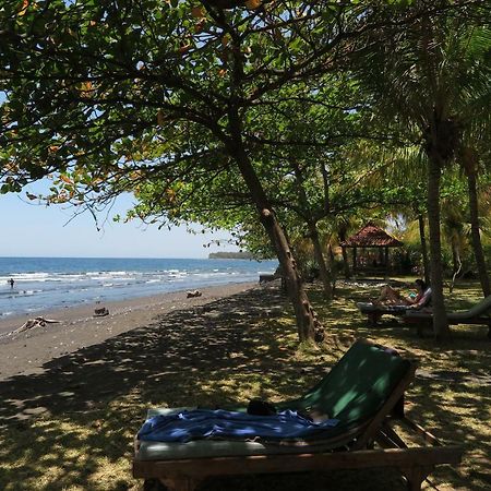 Bali Sandat Tejakula Εξωτερικό φωτογραφία