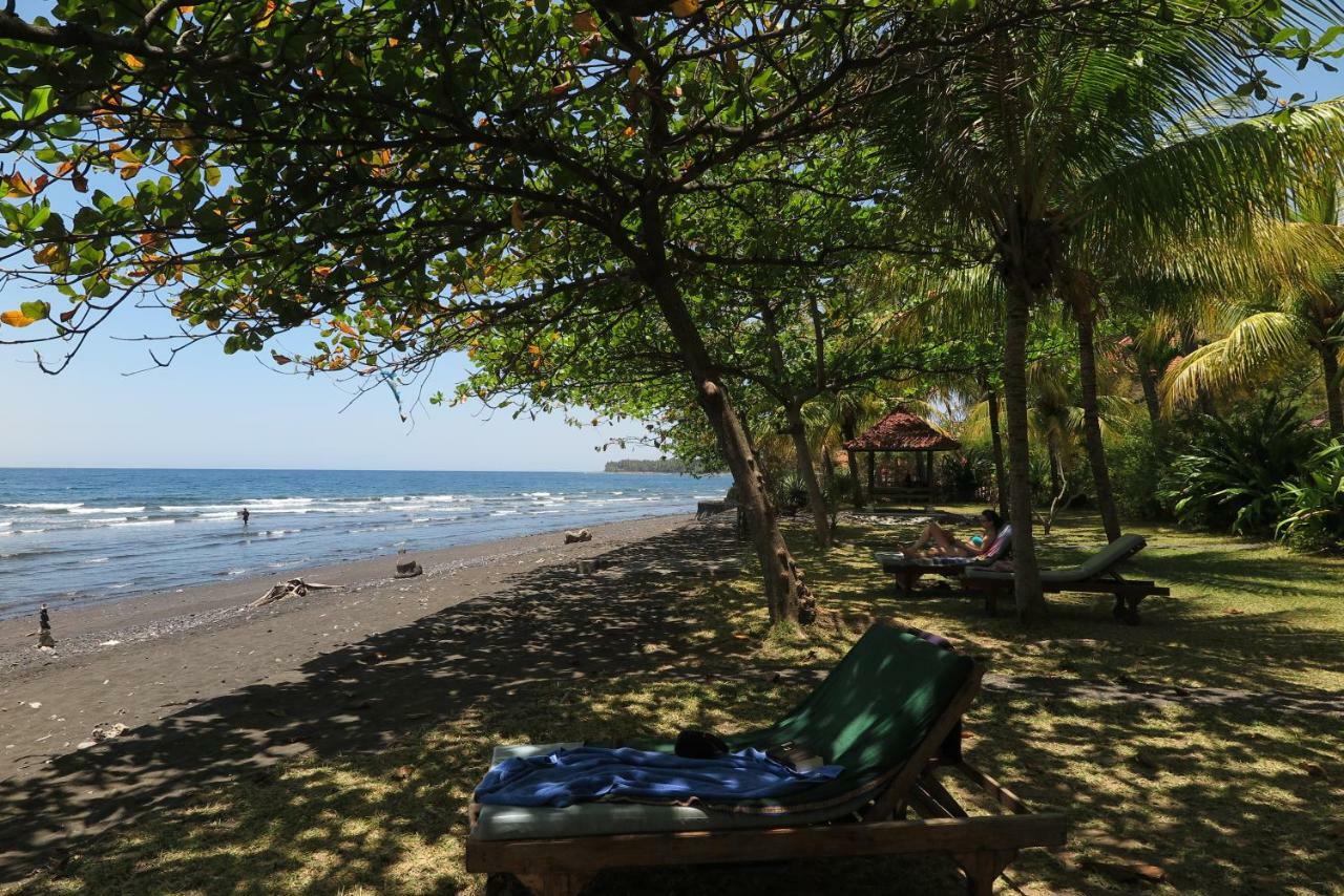 Bali Sandat Tejakula Εξωτερικό φωτογραφία